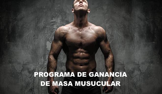 programa de nutrición de ganancia masa muscular