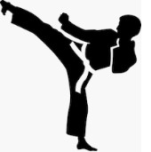icono karate