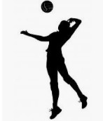 icono volleyball