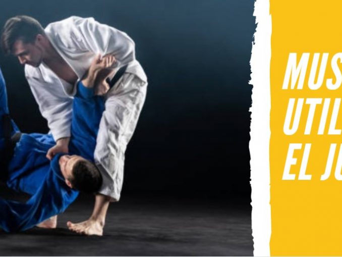 Músculos que Utilizamos en el Judo