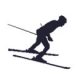 icono ski